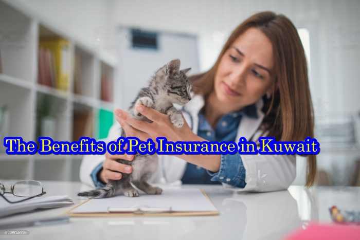 The Benefits of Pet Insurance in Kuwait: Peace of Mind for You and Your Pet