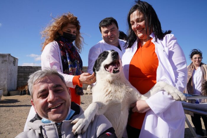 Top Pet Insurance Providers in Seattle, USA 2023: Ensuring Your Pet's Well-Being