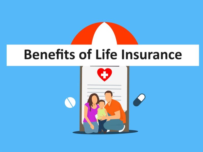 Insurance Excellence: Discover the Top-Tier Life Insurance Providers in the USA